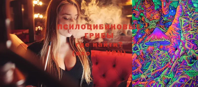 Псилоцибиновые грибы Magic Shrooms  Карачаевск 