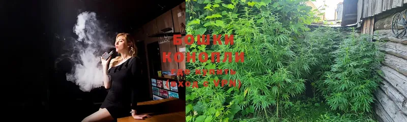 дарнет шоп  Карачаевск  МАРИХУАНА Ganja 